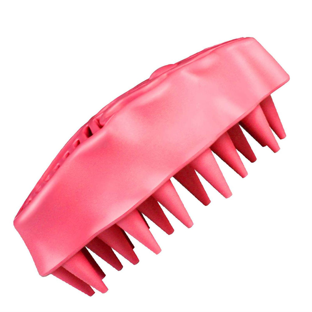 Brush T423113