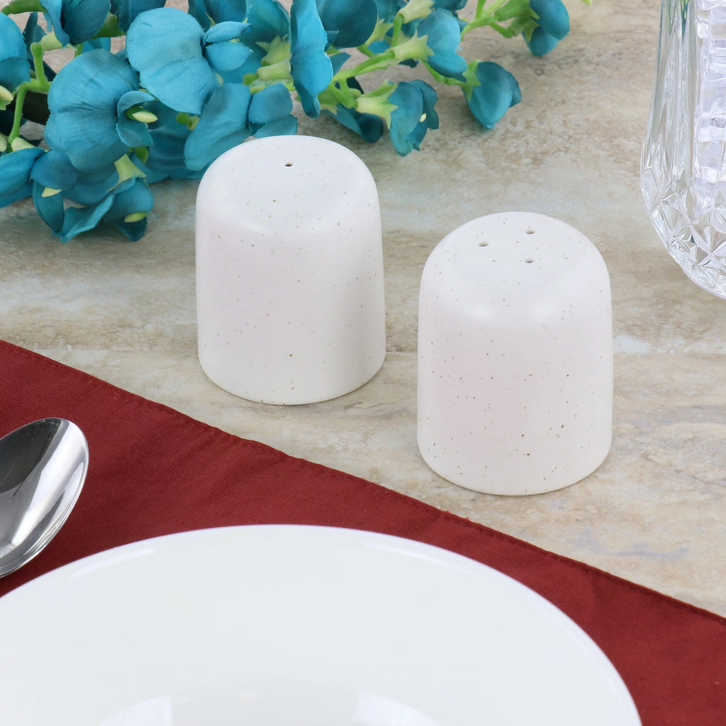2.3 Inch Stoneware Salt and Pepper Shaker Set D298092