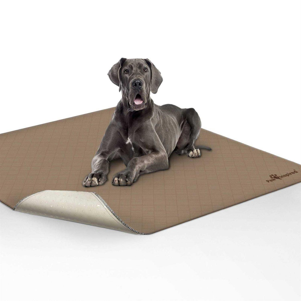 Washable Reusable Pee Pads for Dogs A3958