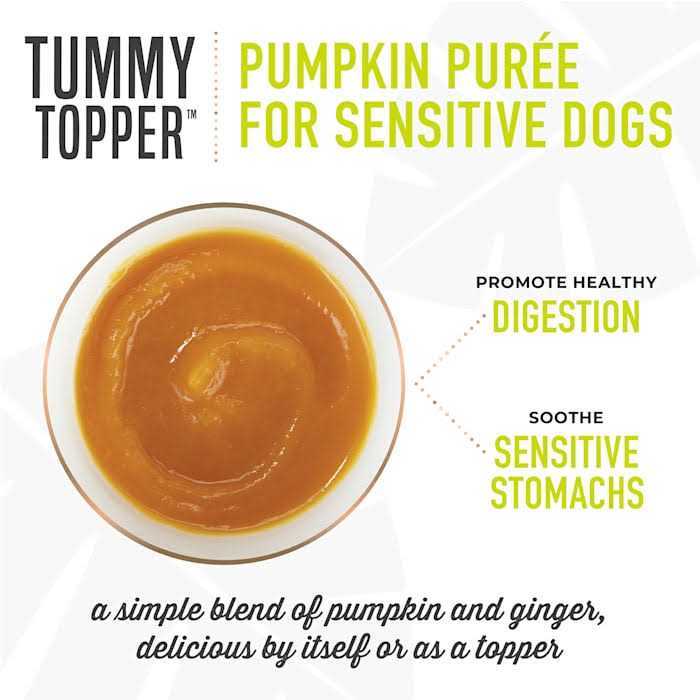 Pumpkin Ginger Dog Food Topper H1966