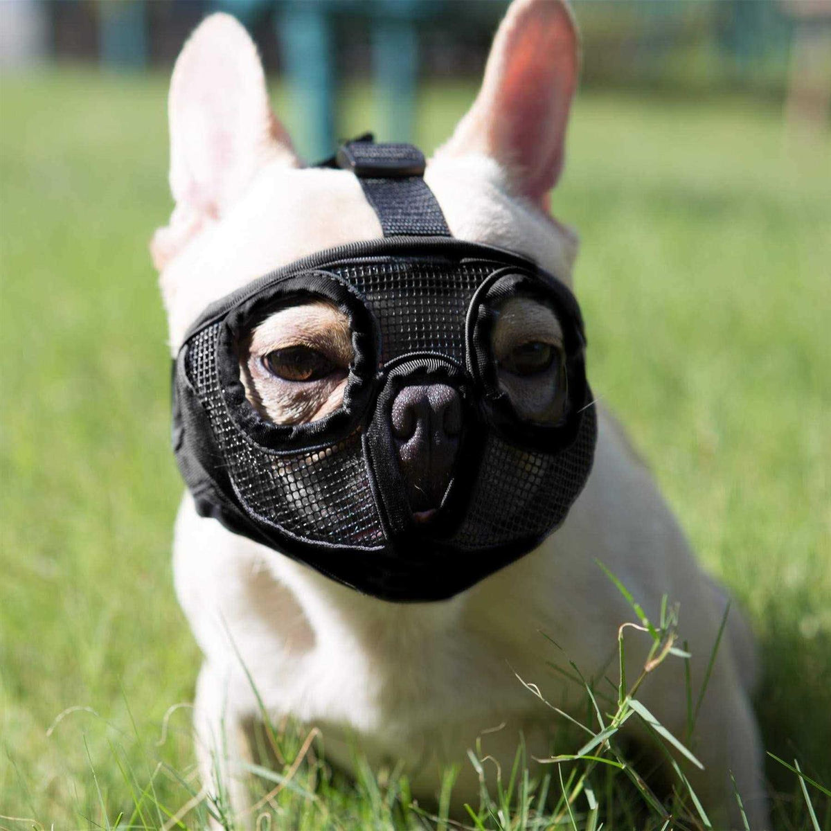 Adjustable Breathable Mesh Short Snout Dog Muzzle D6529