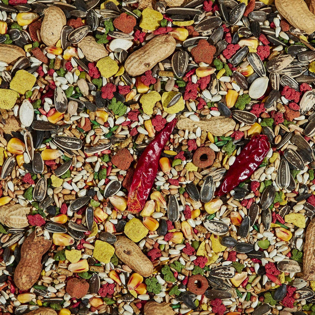 Parrot Food S408