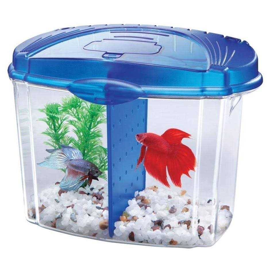 Betta Bowl Kit K541663