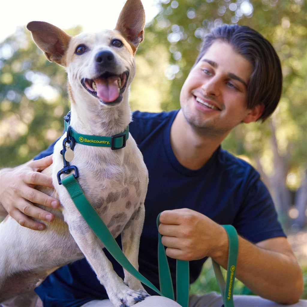 Dog Collar O111
