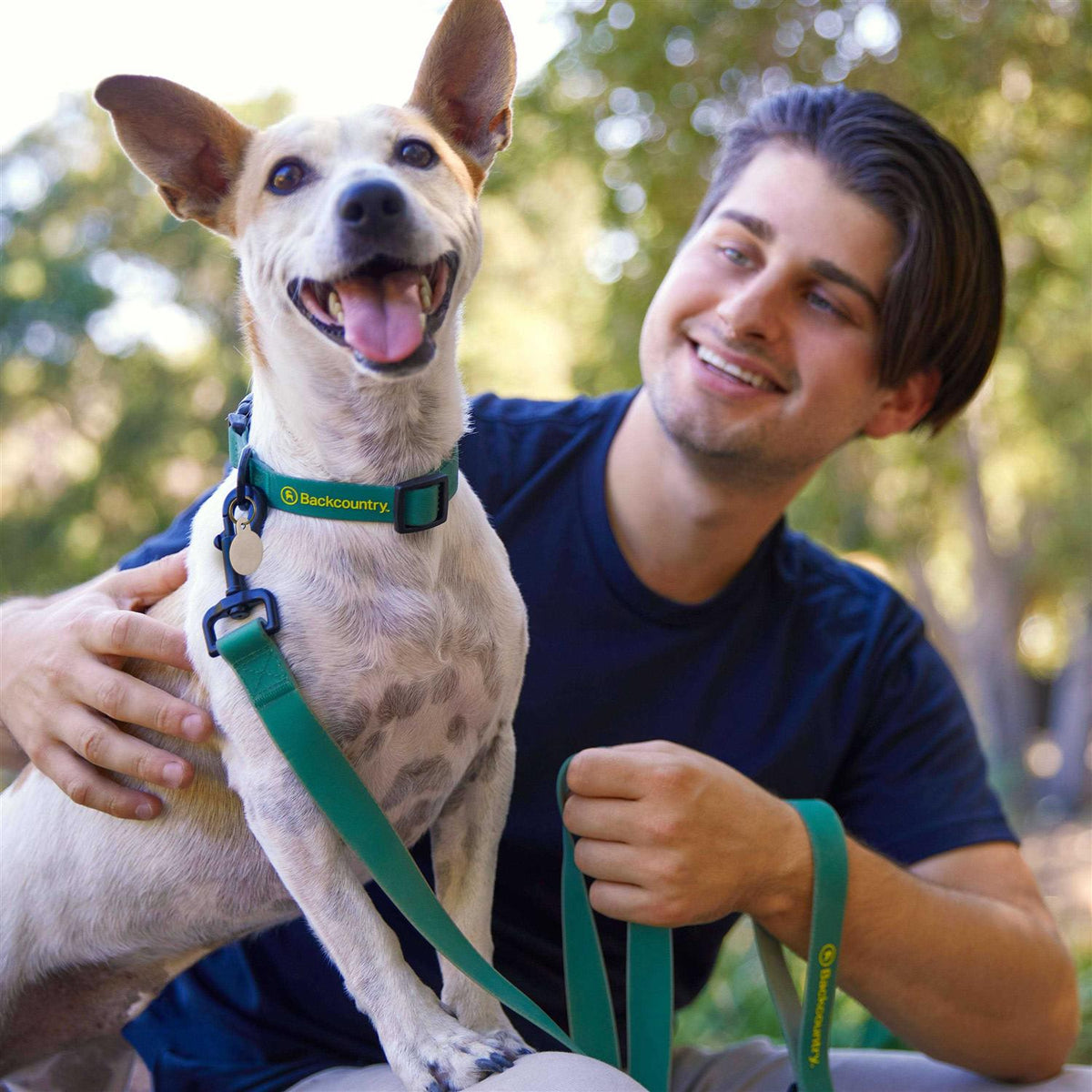 Dog Collar O111