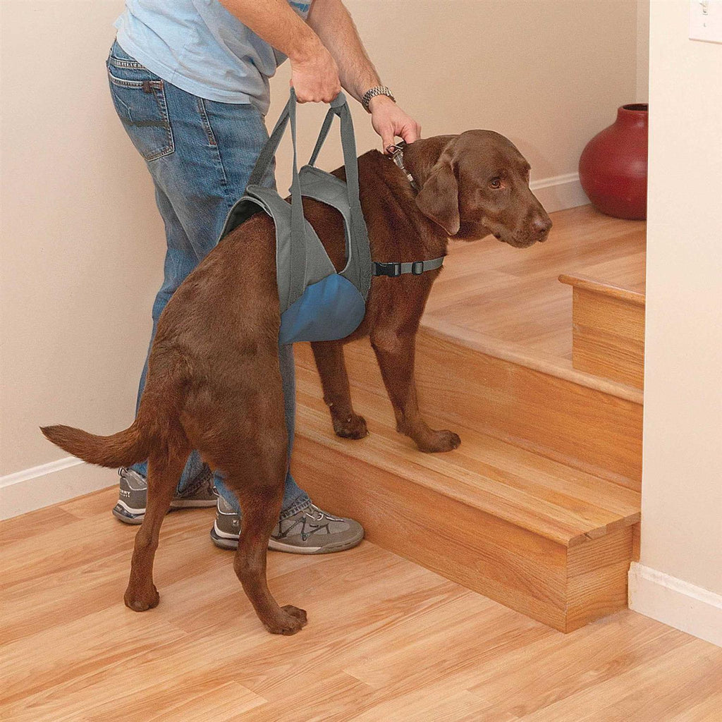Dog Lifter D202965