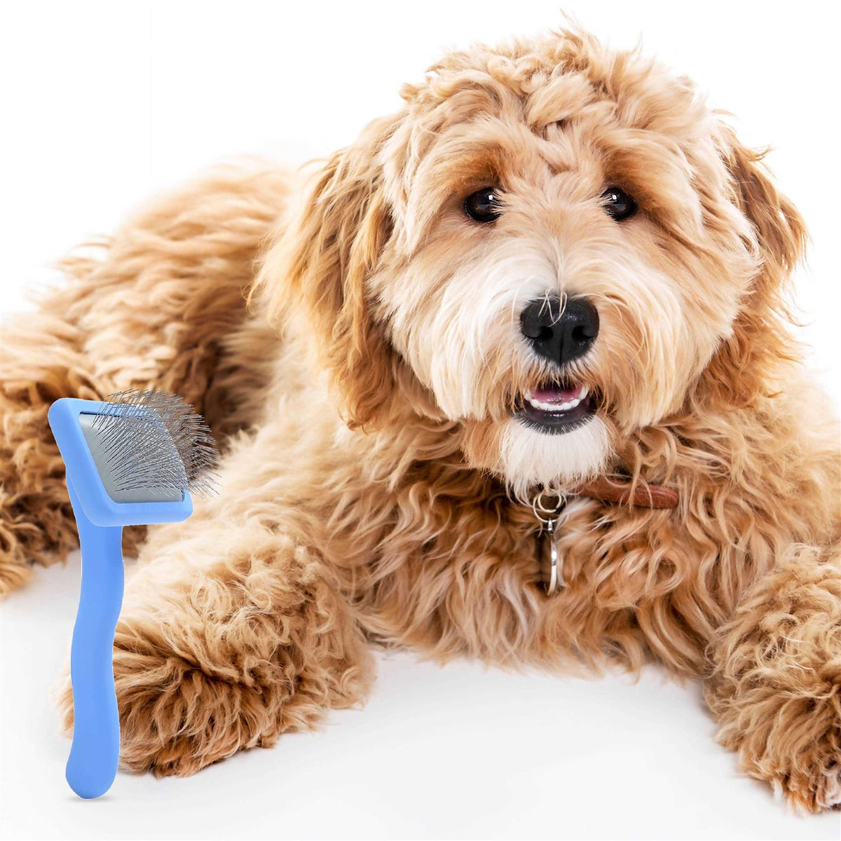 Dog Slicker Brush for Grooming Pet Hair L6574