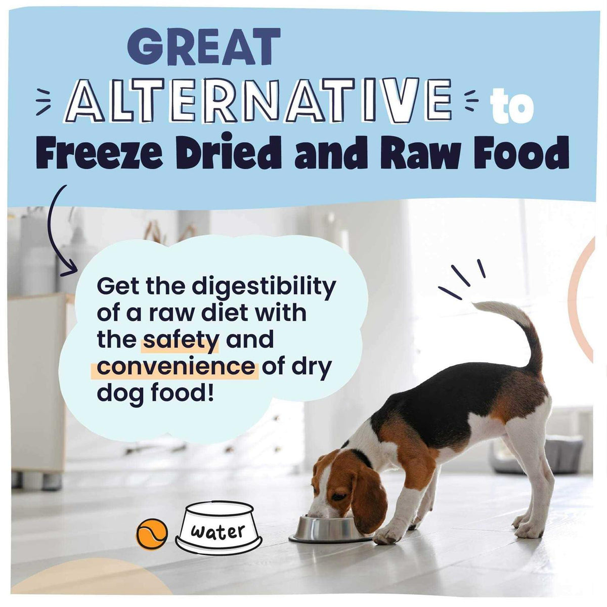 Grain-Free Air Dried Dog Food W72535