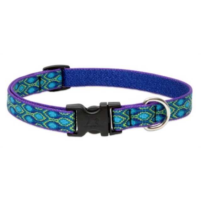 Dog Collar P6476