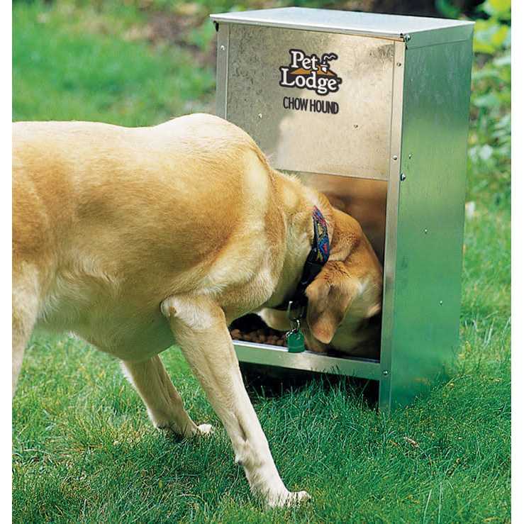Dog Feeder L89031