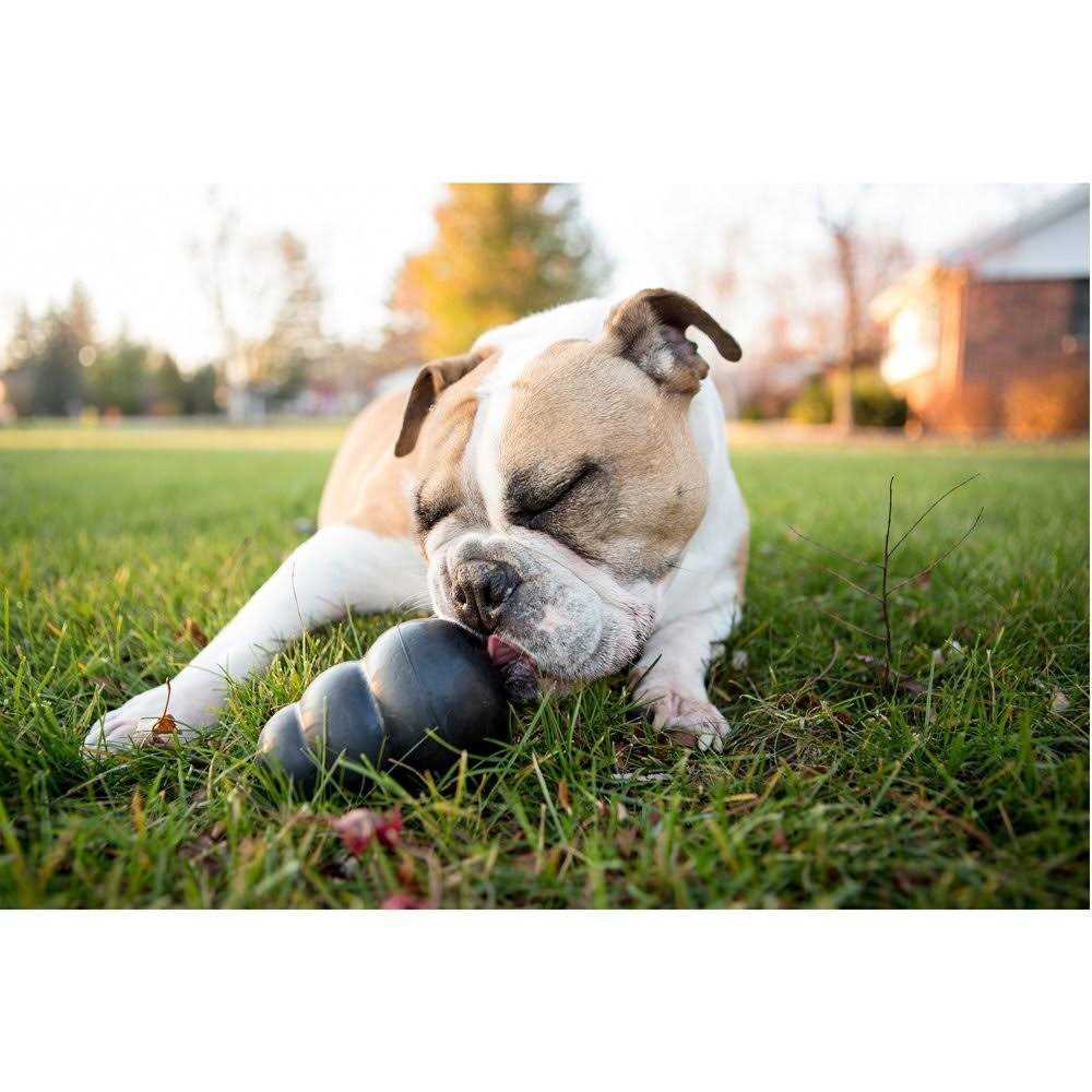 KONG Dog Toy K8465