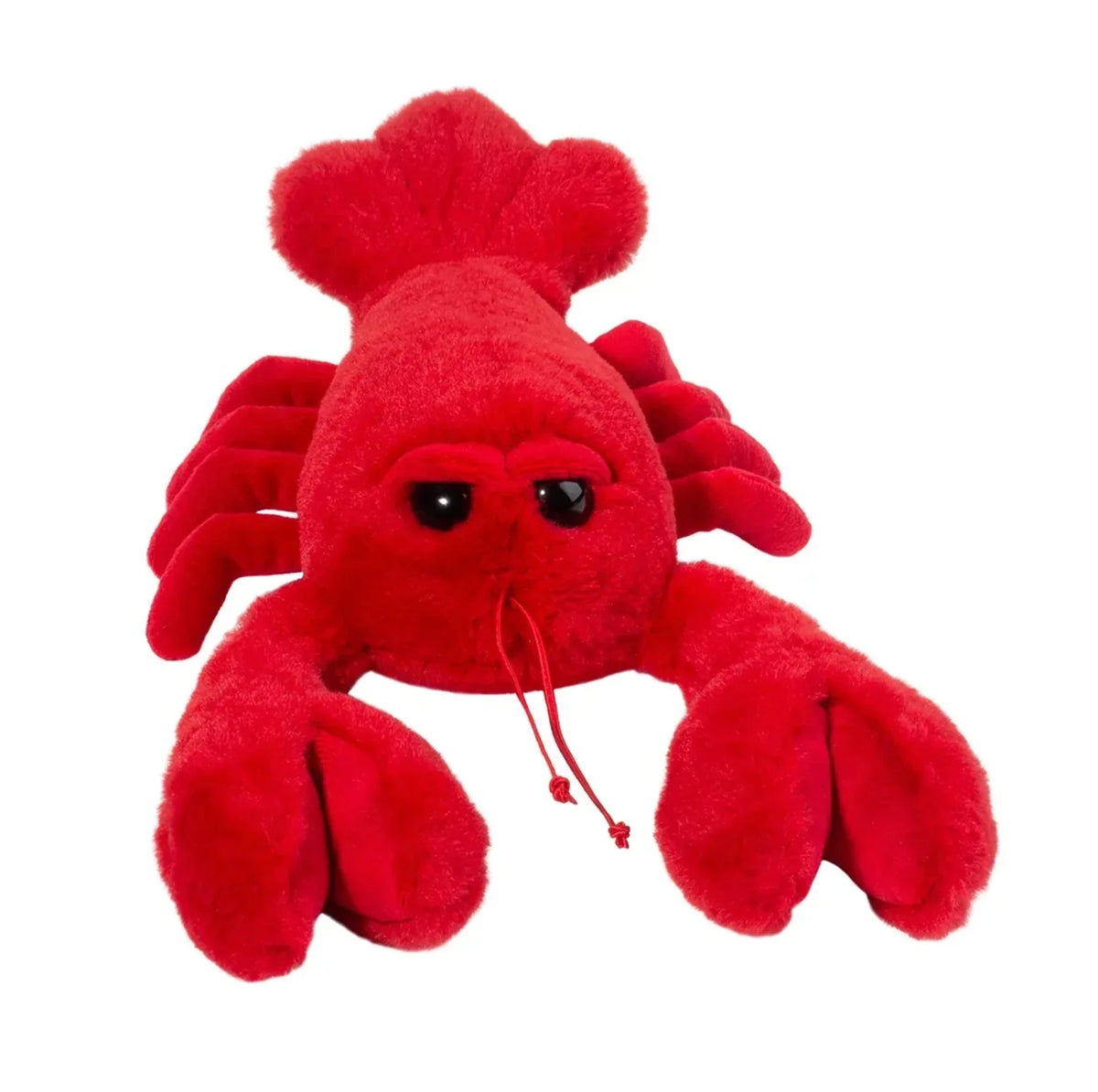 Lobster I50938