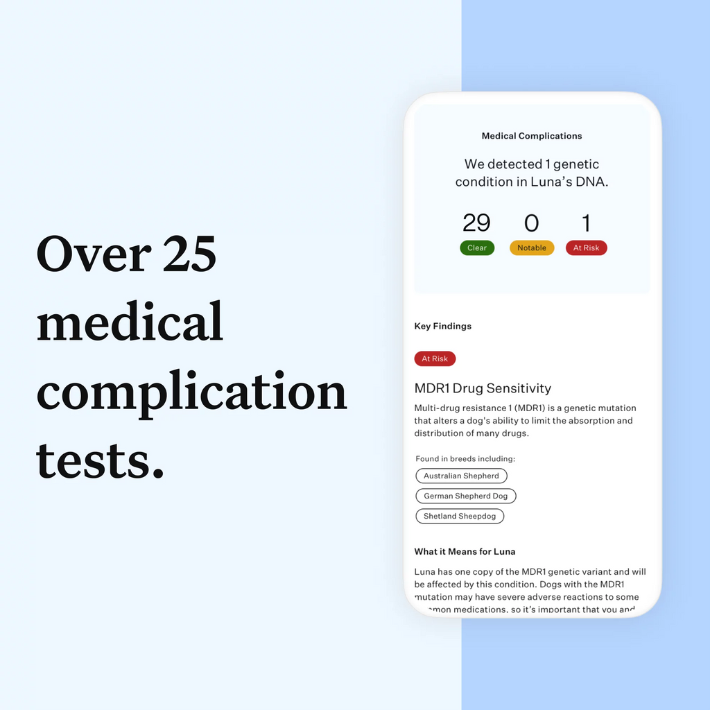 Dog DNA Test O3588