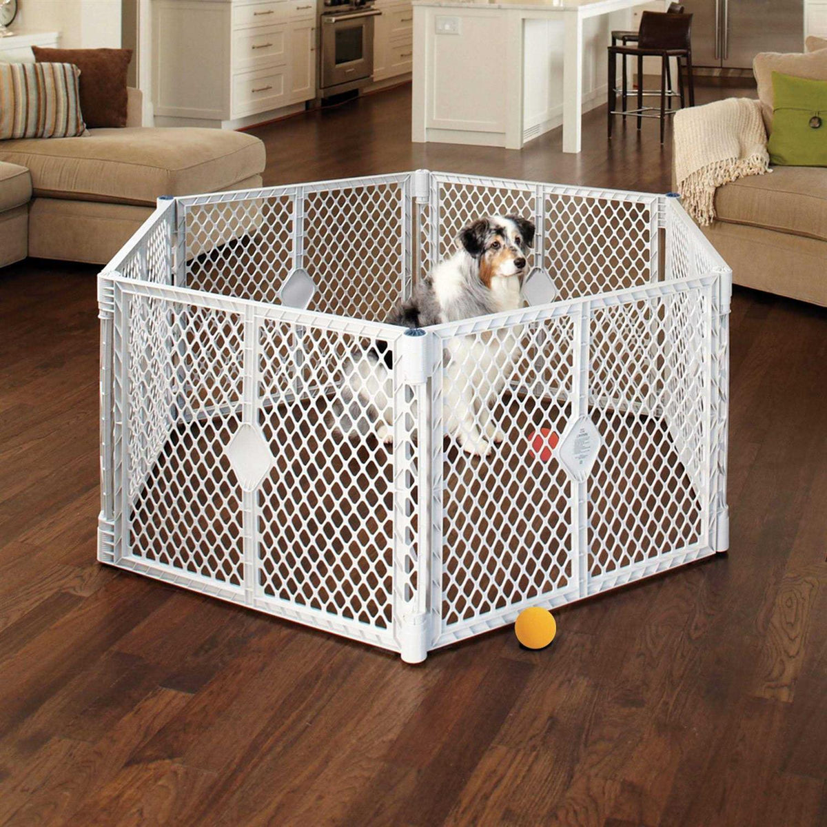 Indoor/Outdoor Pet Yard P581