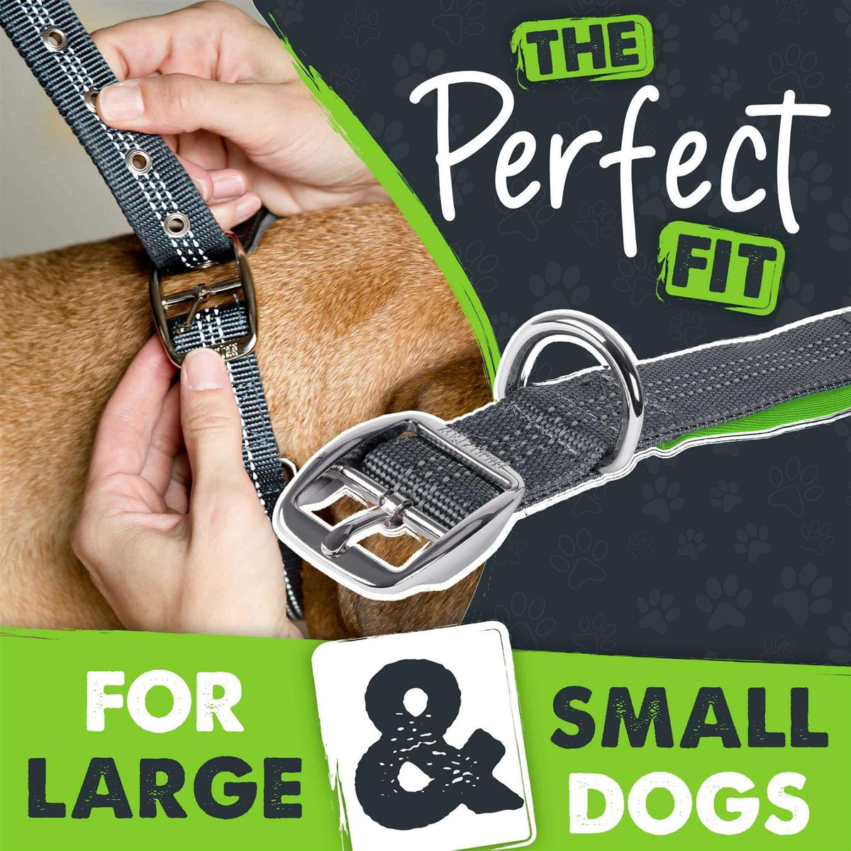 Dog Collar I62537