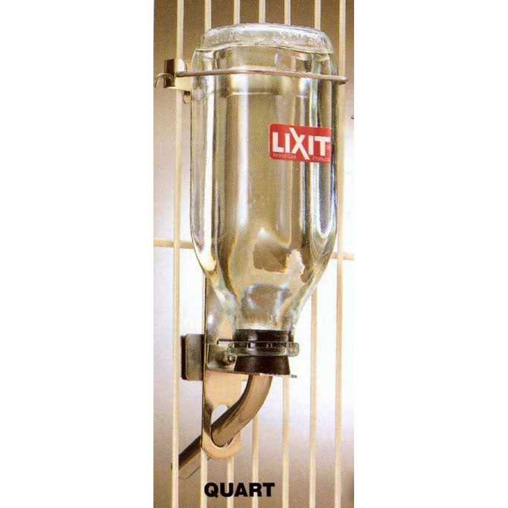 Glass Water Bottle N84224
