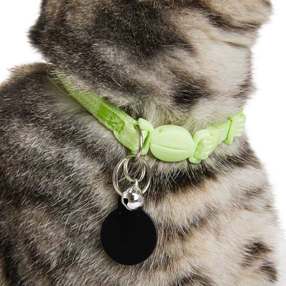 Glow in the Dark Green Kitten Collar M8693