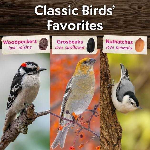 Wild Bird Food X5892