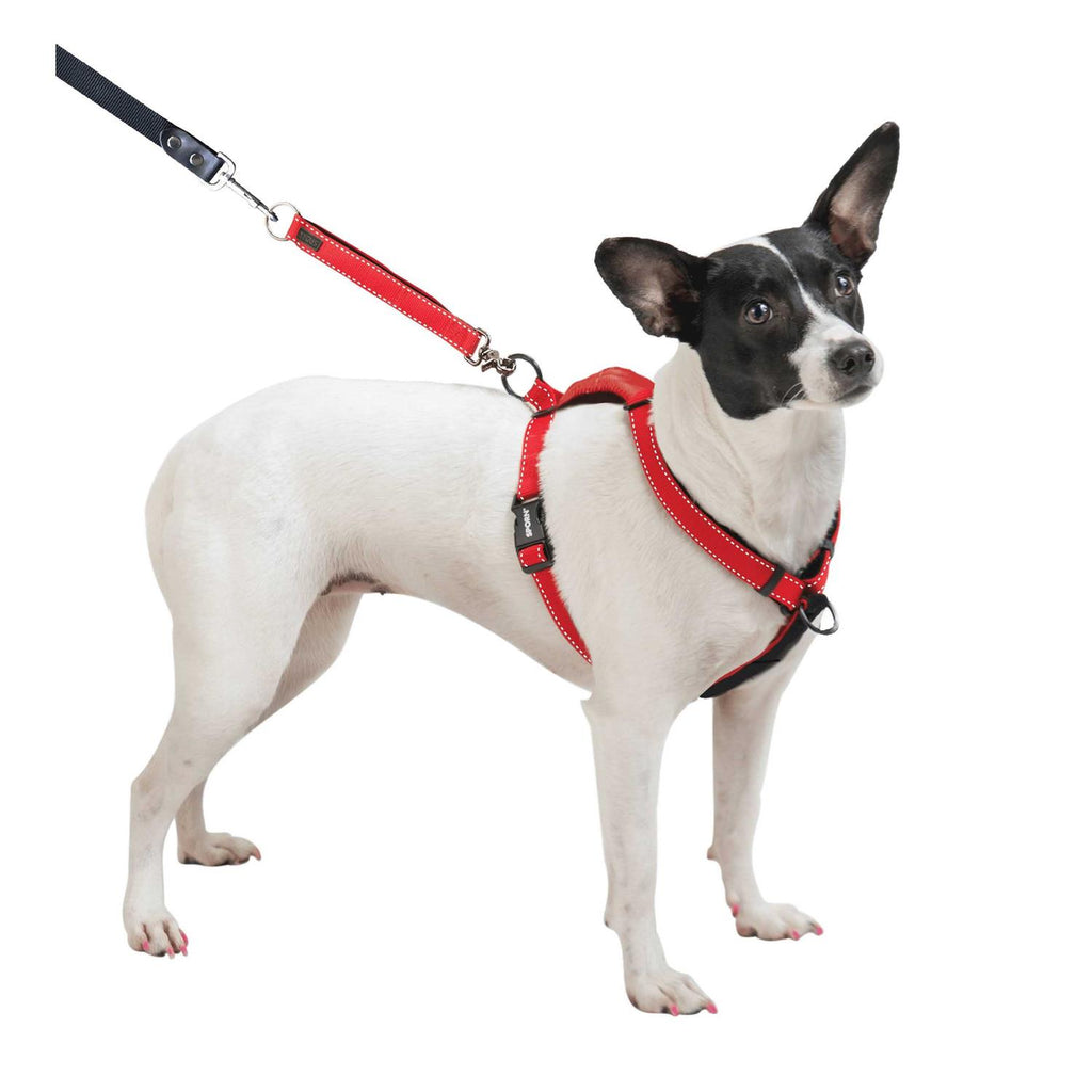 Harness R451