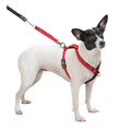 Harness R451