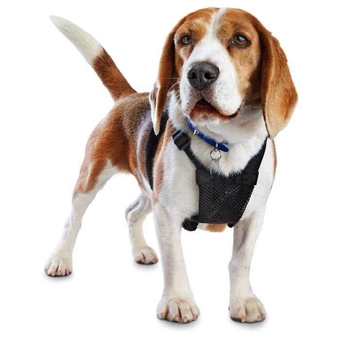 Black No Pull Dog Harness Y143