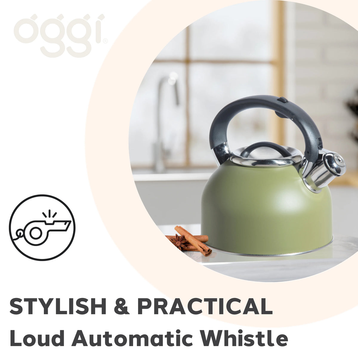 Stainless Steel Whistling Tea Kettle F15622