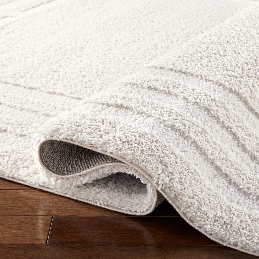 Beige Shag Area Rug 7'10"x10'2" G88294