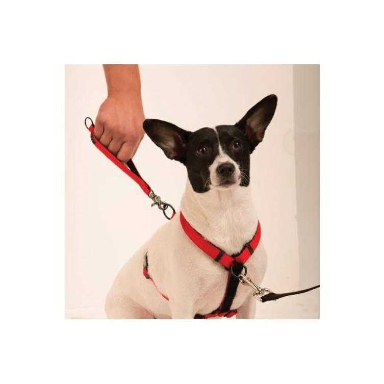 Harness R451