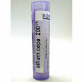 Allium cepa 200CK 80 plts G549658
