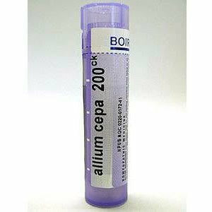 Allium cepa 200CK 80 plts G549658