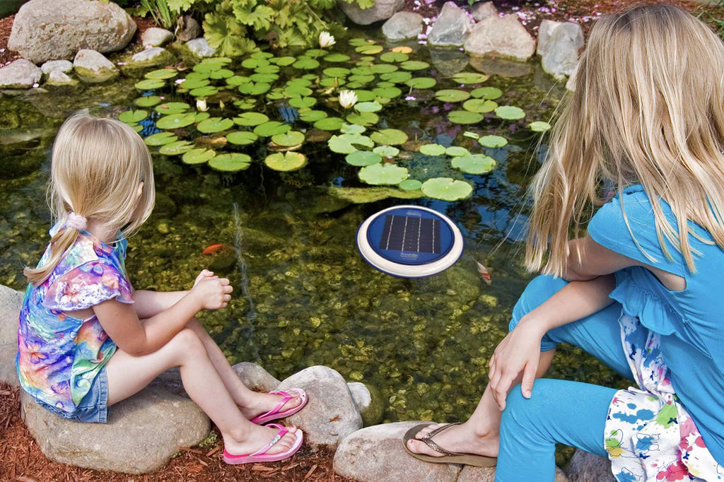 Solar Powered Water Purifier Ionizer R77188