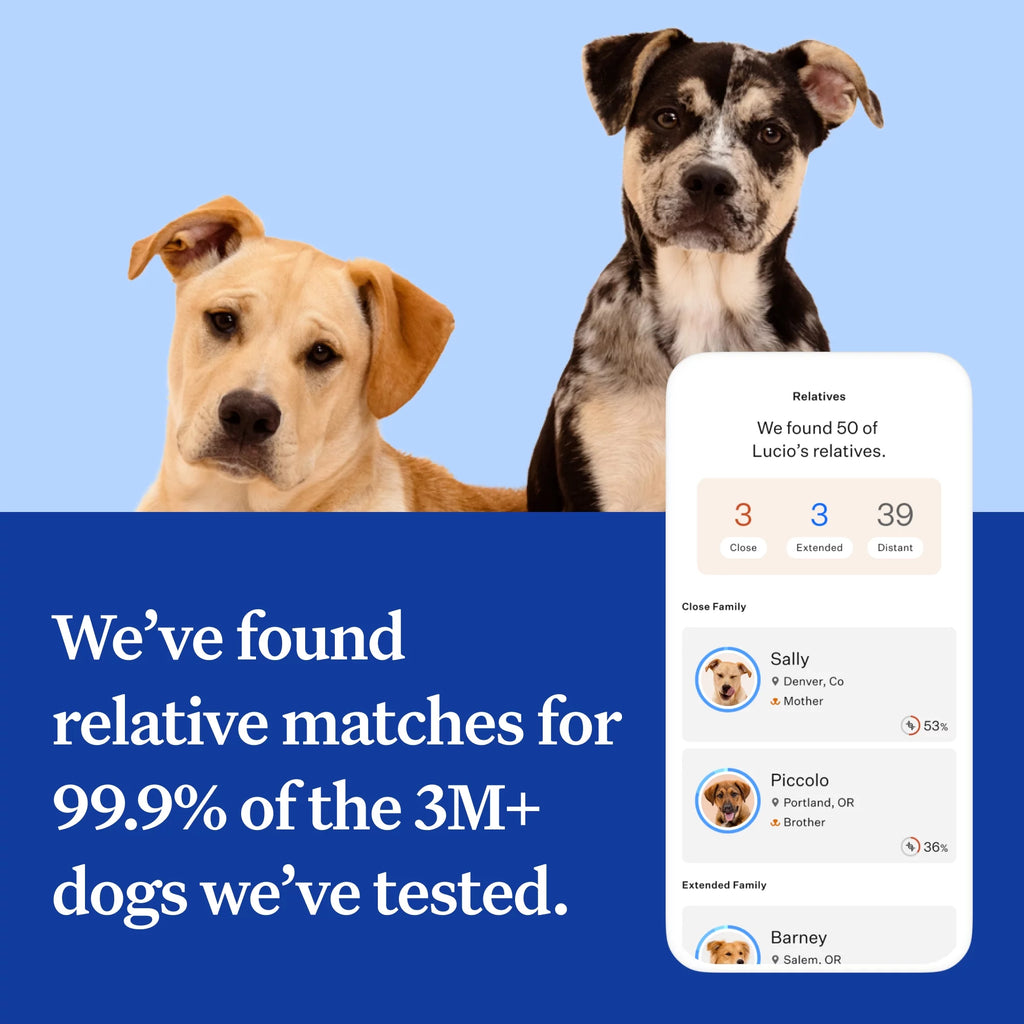 Dog DNA Test O3588