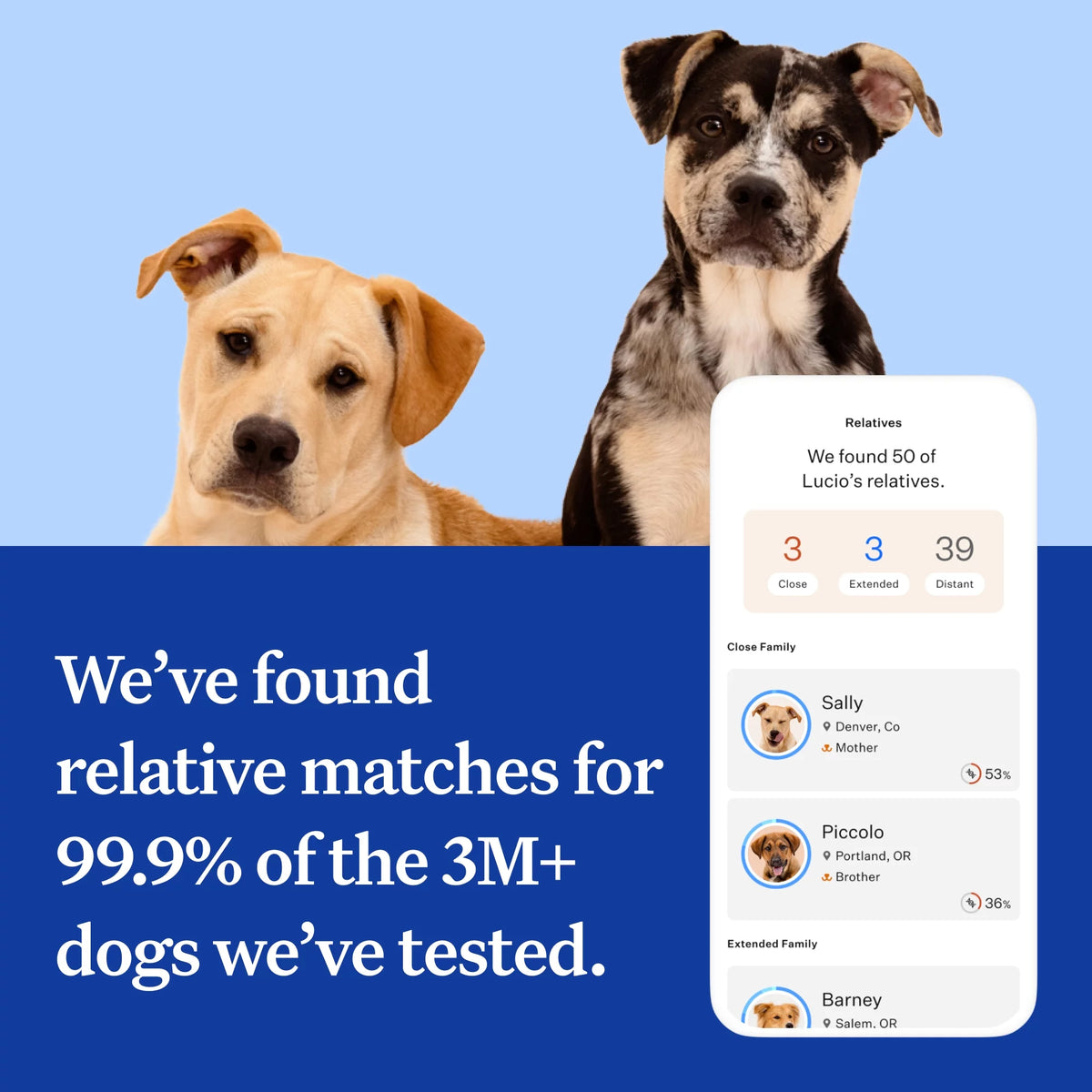 Dog DNA Test O3588