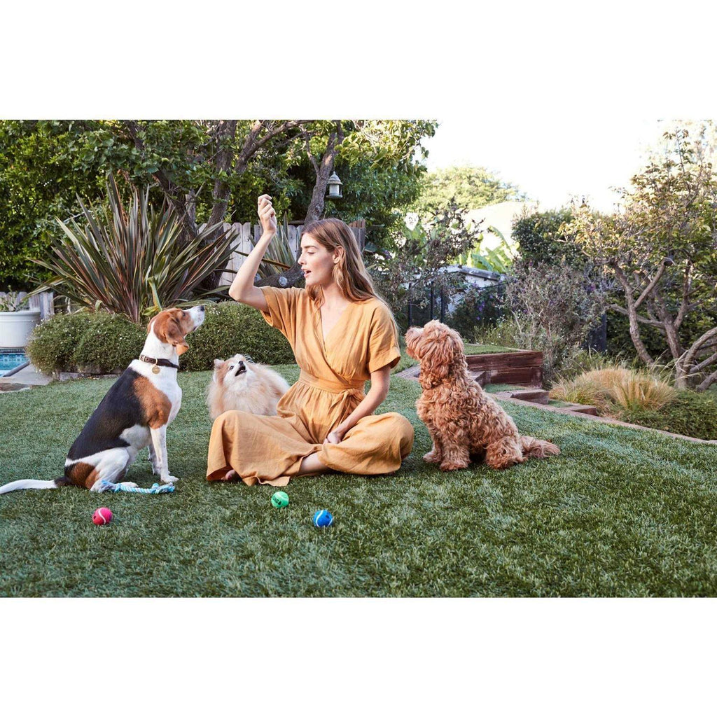 Beef Jerky Dog Treats N2865