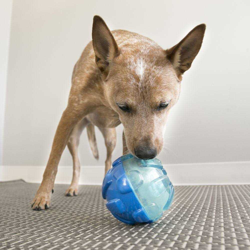 Ball Dog Toy W4490