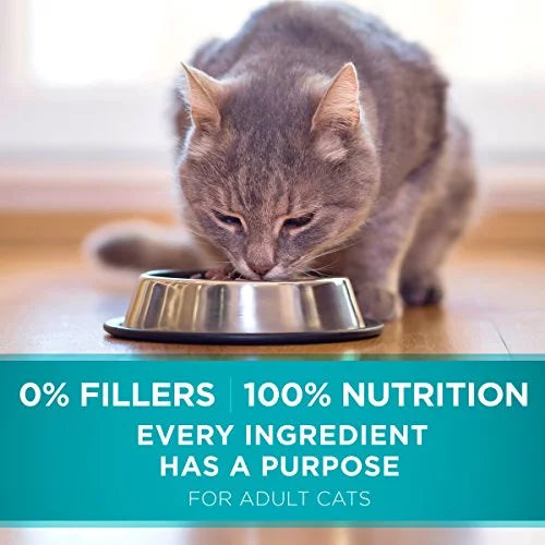 Natural Dry Cat Food With Real Chicken 7 lb. Bag V896