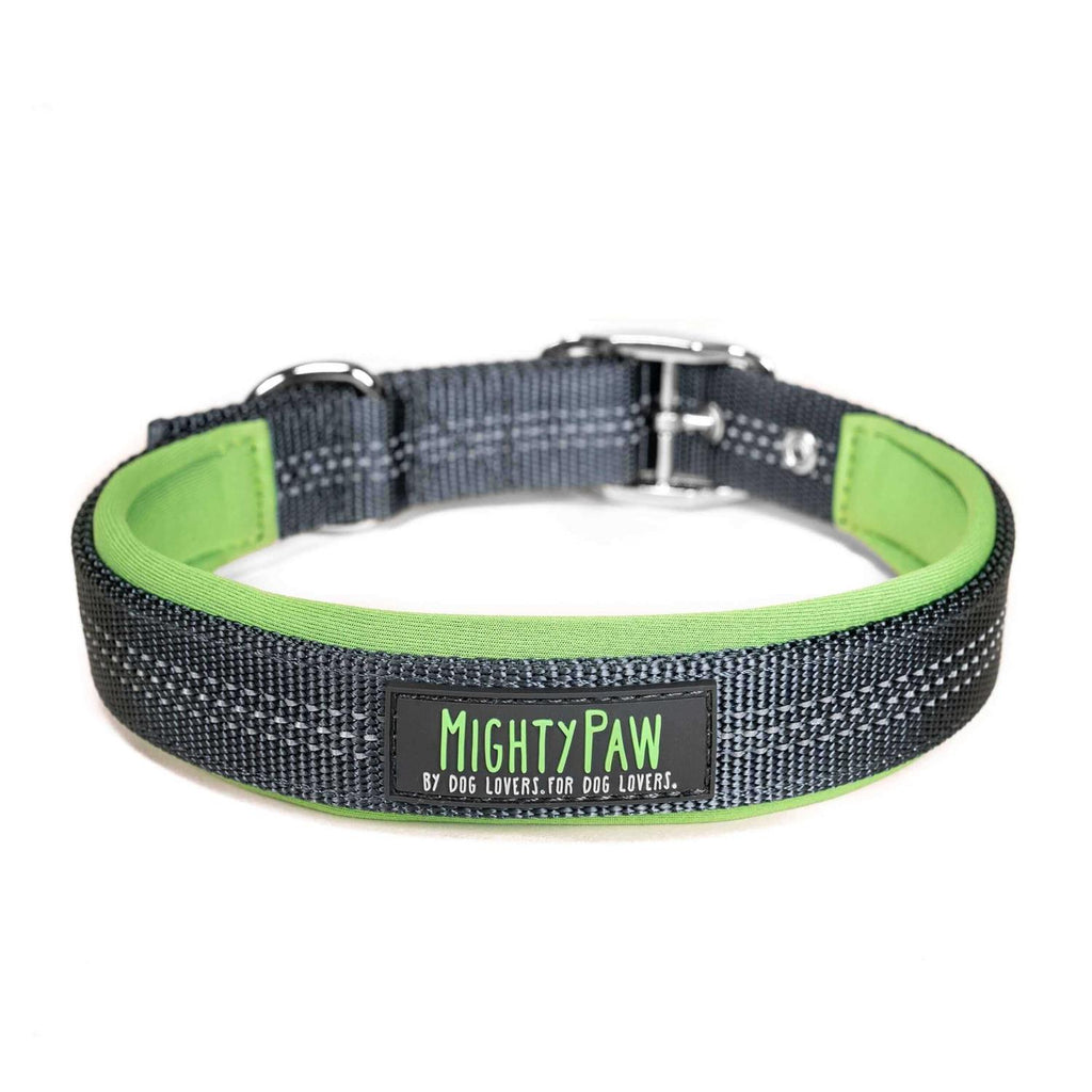 Dog Collar I62537