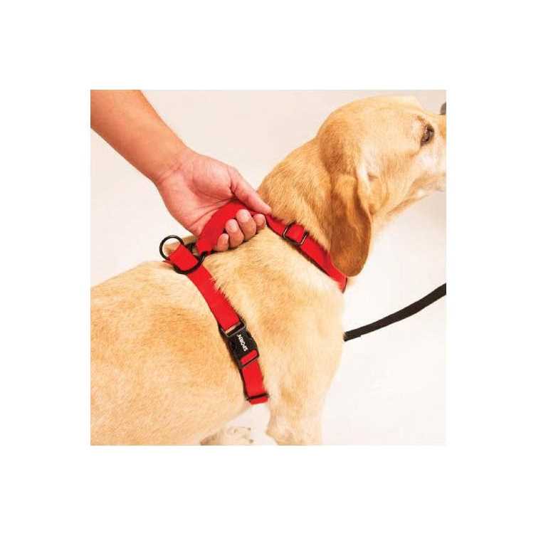 Harness R451