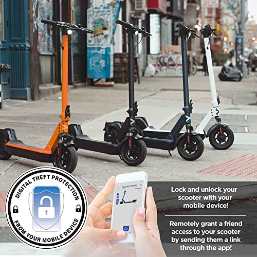 Foldable Electric Scooter with 500W Motor E234