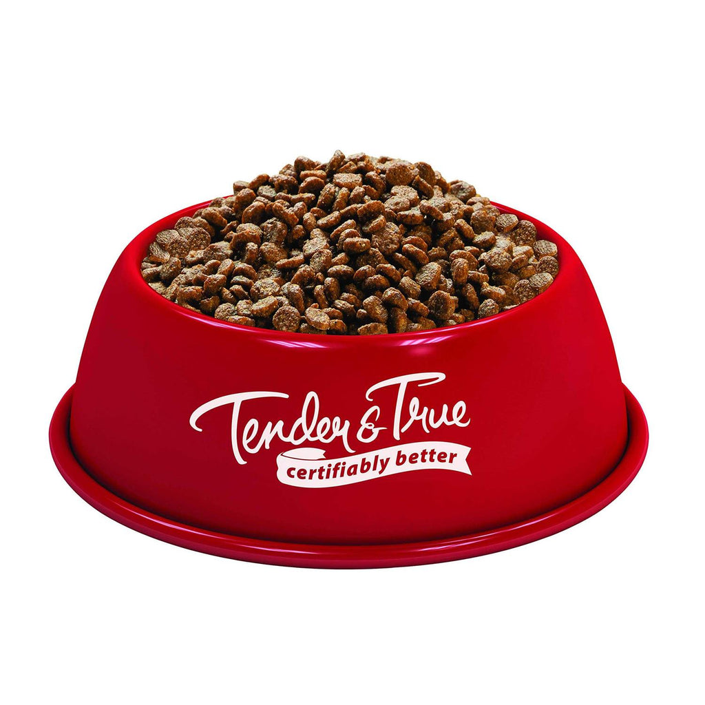 Salmon & Sweet Potato Recipe Dry Cat Food V978561