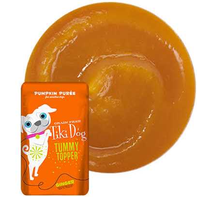 Pumpkin Ginger Dog Food Topper H1966