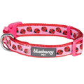 Dog Collar I161
