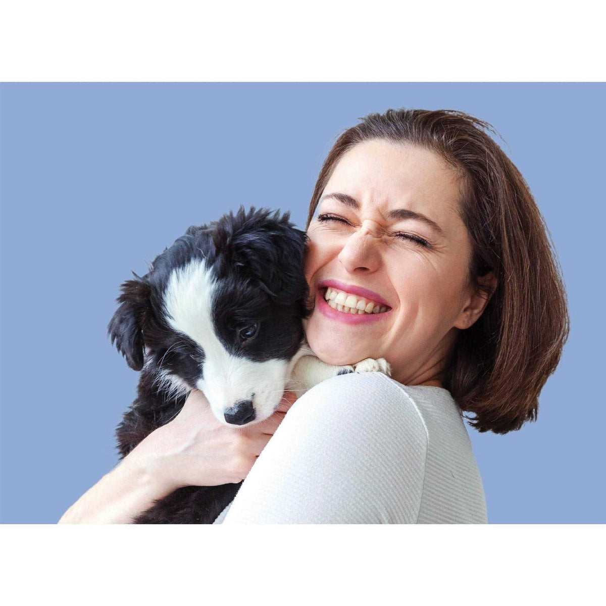 Fast Acting Flea Treatment for Small Dogs N26655