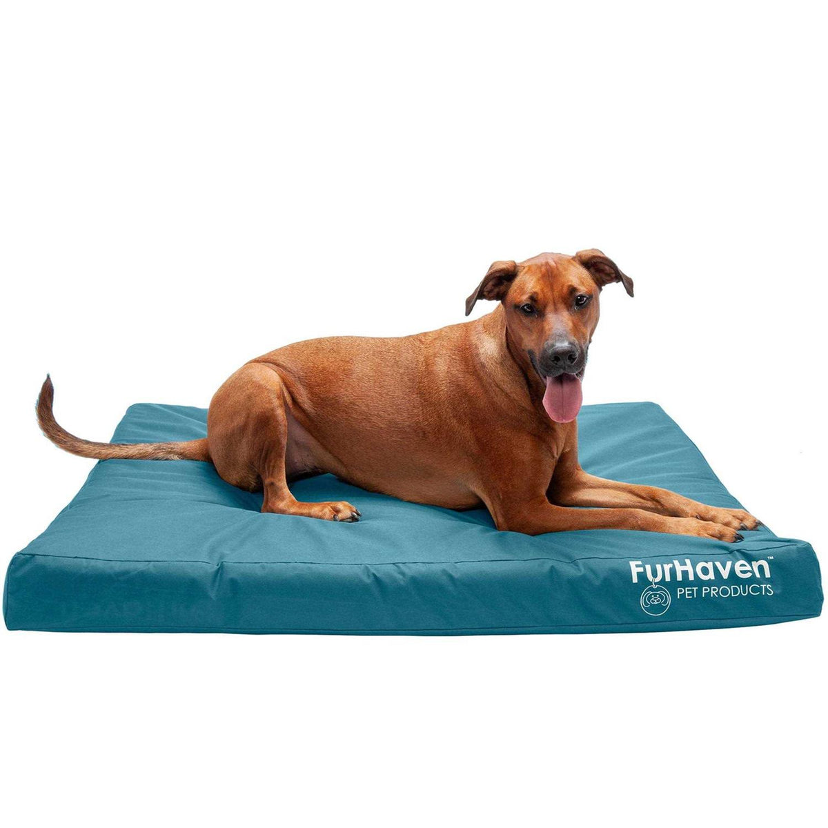 Dog Bed W646