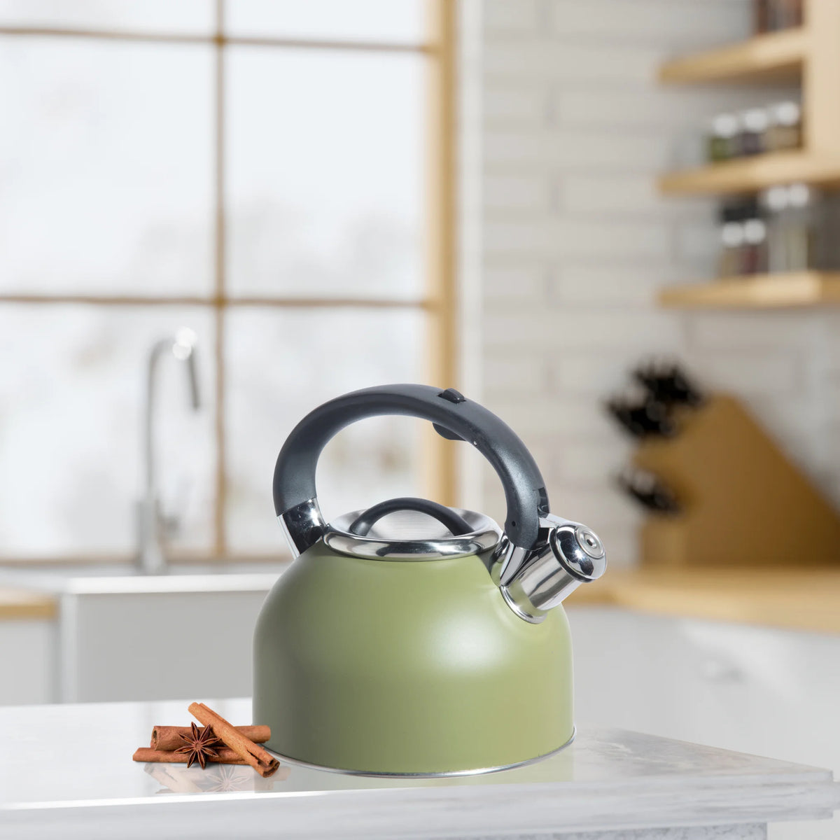 Stainless Steel Whistling Tea Kettle F15622