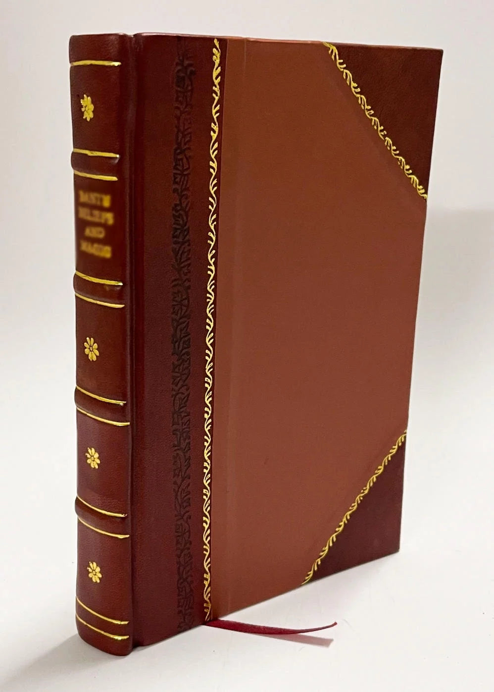 Ten Volumes Illustrated Leather Bound O746662