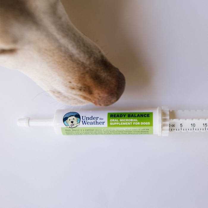 Ready Balance for Dogs F83489