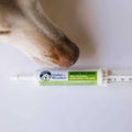 Ready Balance for Dogs F83489