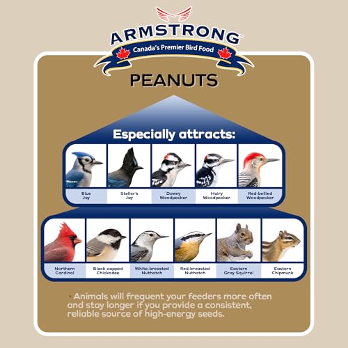 Shelled Peanut Halves Bird Seed 20 Pounds J81043