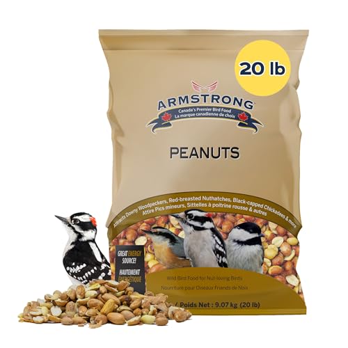 Shelled Peanut Halves Bird Seed 20 Pounds J81043